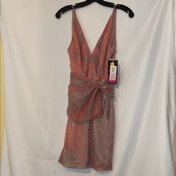 Blondie Nites Dresses & Skirts - Blondie Nights By Stacy Sklar Mini Dress